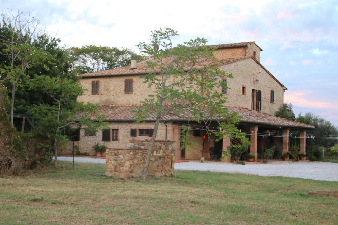 Podere Campo Alle Serpi Bibbona Exterior foto