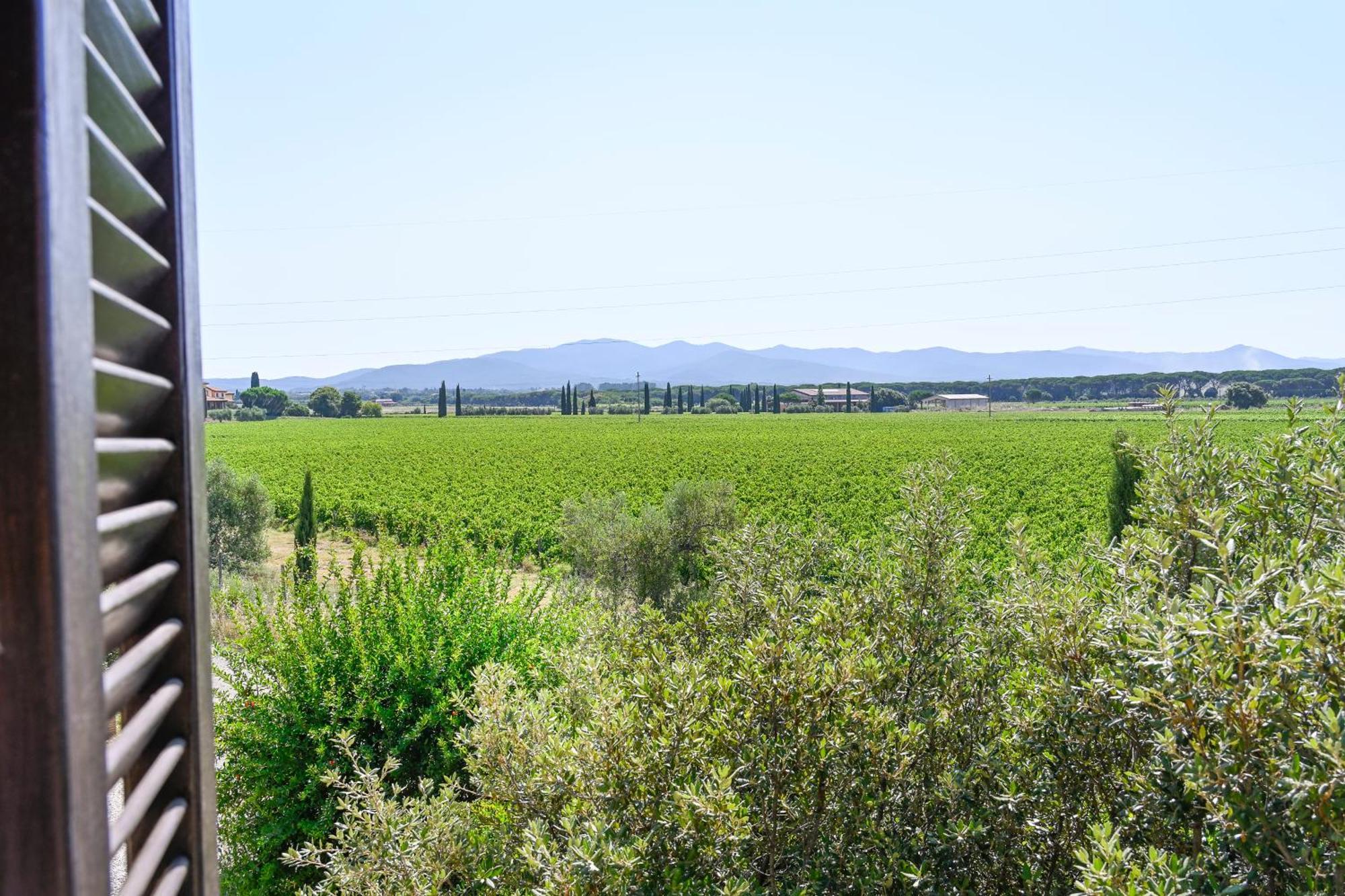 Podere Campo Alle Serpi Bibbona Habitación foto